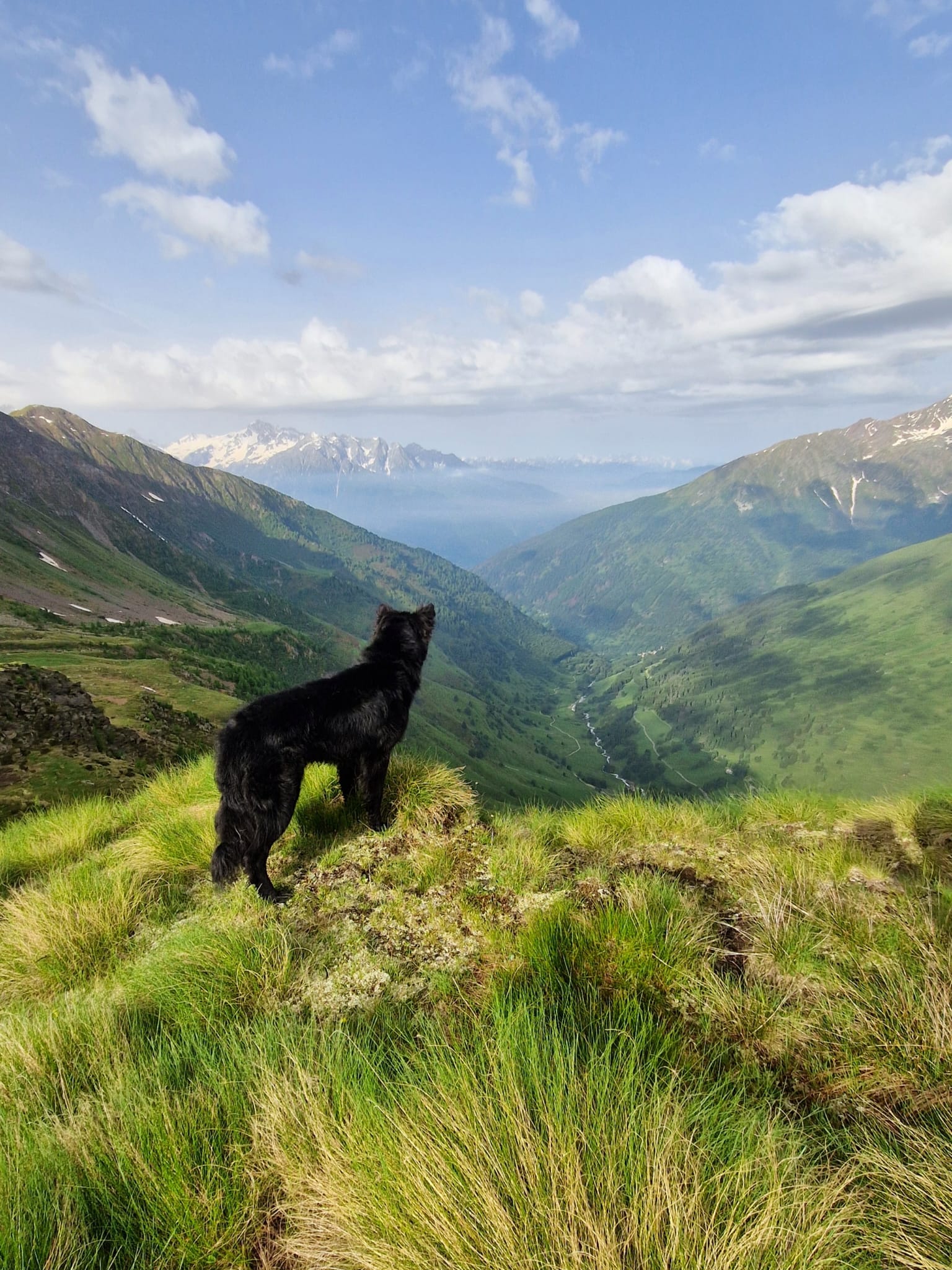 PHOTO-2024-06-29-08-12-55 ggg