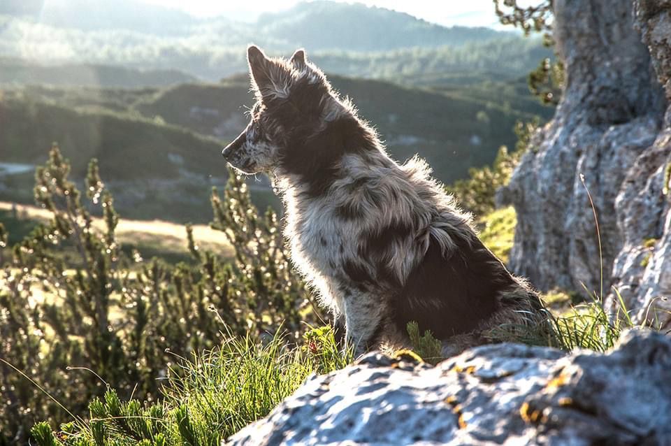 PHOTO-2024-07-07-14-07-30