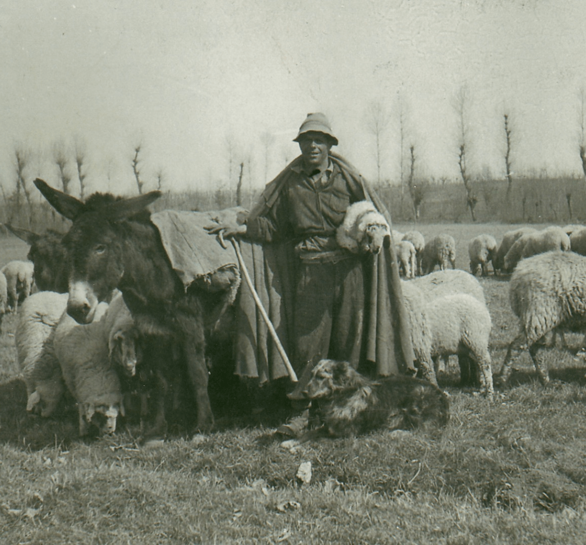 pastore Foza con pastrano Scopri il Pastore della Lessinia e del Lagorai