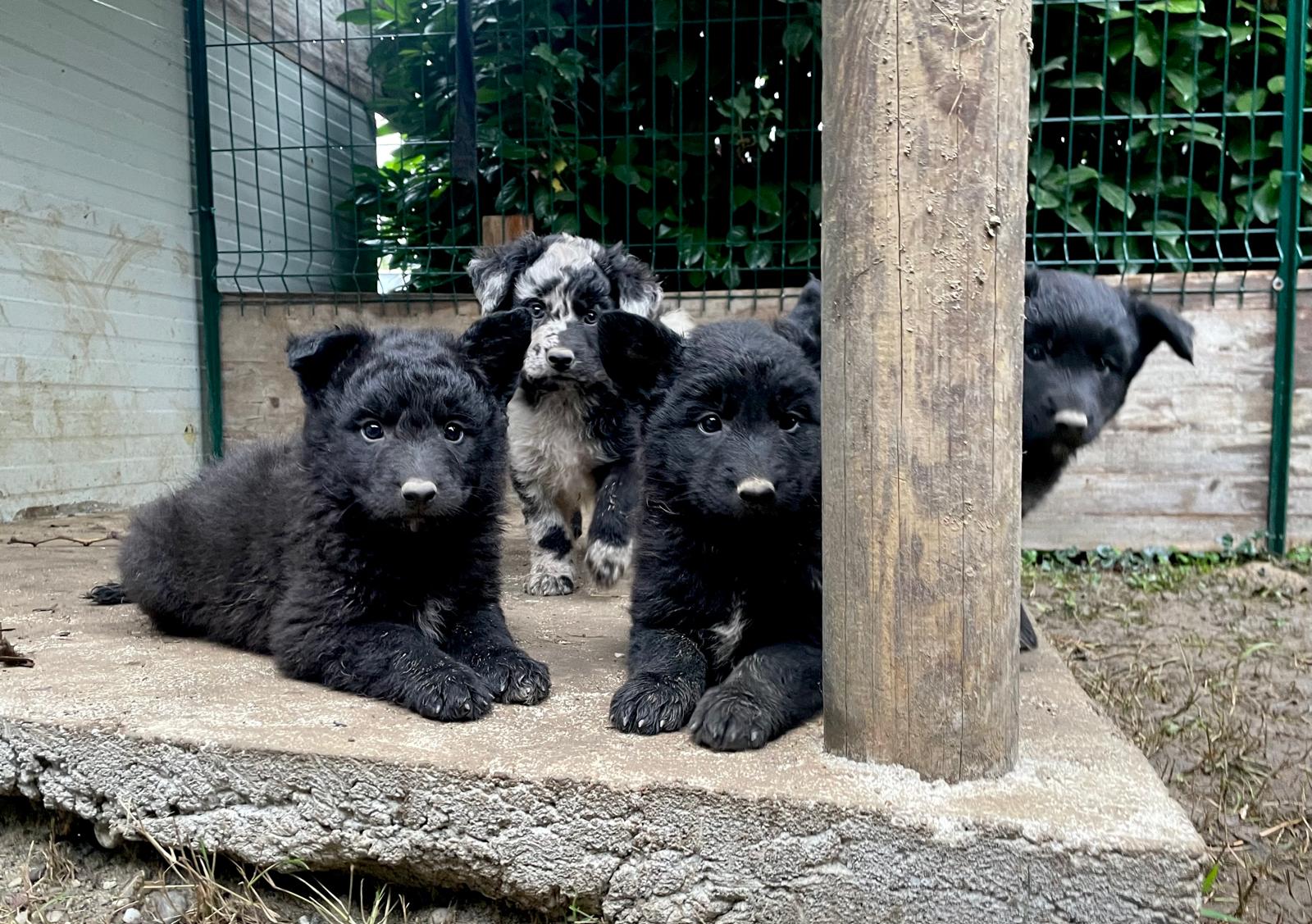 WhatsApp Image 2025-03-14 at 3.30.00 PM