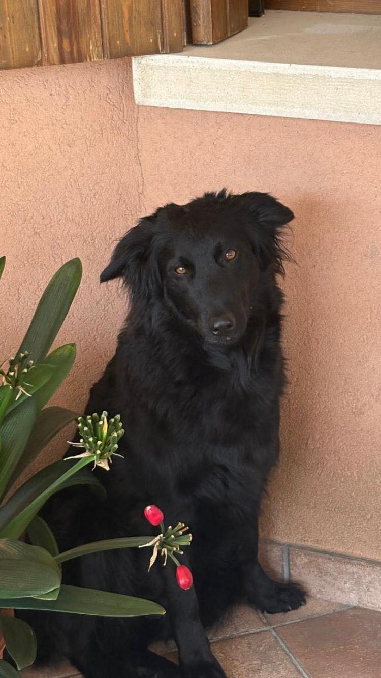 497462169_1651191162435417_557716954800365160_n ggg